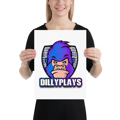 DillyPlays Poster